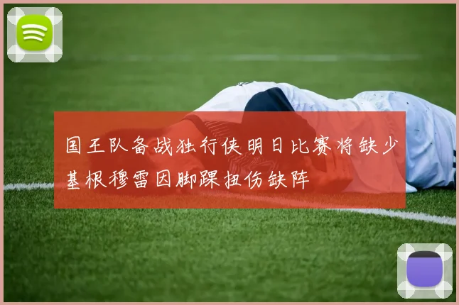 国王队备战独行侠明日比赛将缺少基根穆雷因脚踝扭伤缺阵